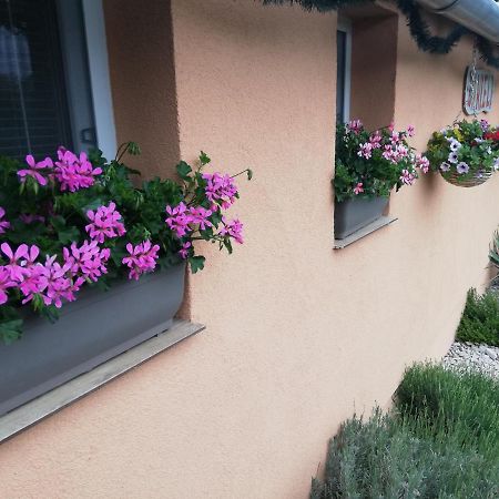 Danieli Holiday Home Štúrovo Екстериор снимка