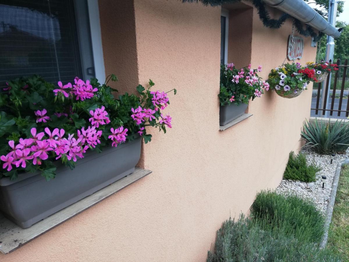 Danieli Holiday Home Štúrovo Екстериор снимка