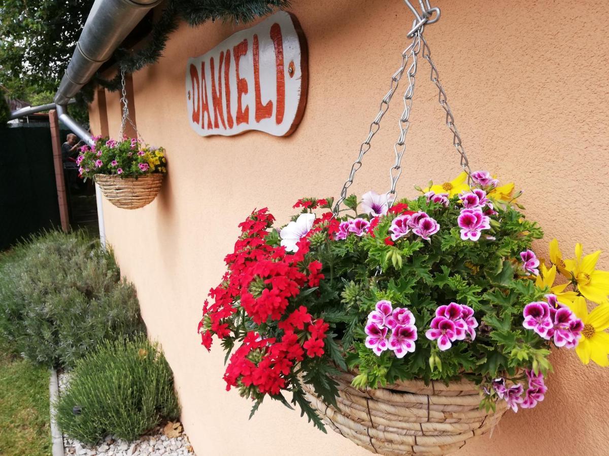 Danieli Holiday Home Štúrovo Екстериор снимка